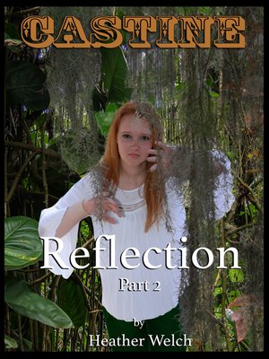 cover image of Castine, Reflection